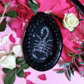 Scorpion Engraved Frame